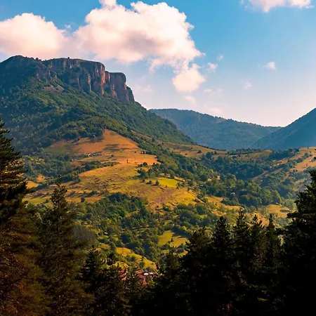 арборетум & ресторант *