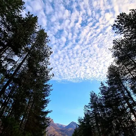 Affittacamere арборетум - онлайн Self Check-in Teteven