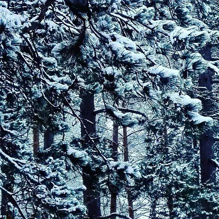 арборетум & ресторант Villa *