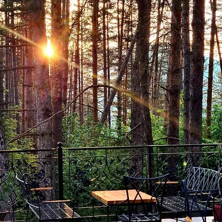 арборетум - онлайн Self Check-in Guest house