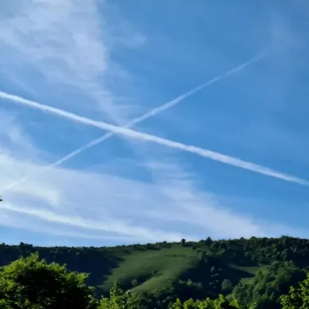 Affittacamere арборетум - онлайн Self Check-in 5*