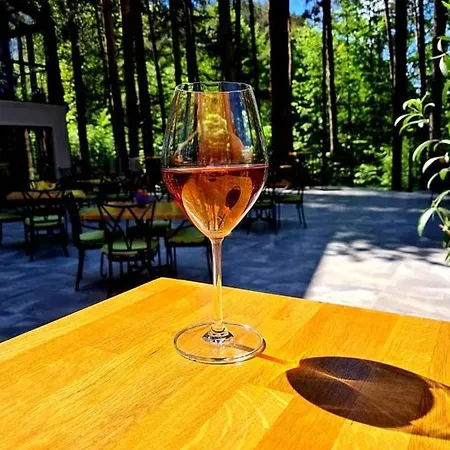 Guest house арборетум Teteven