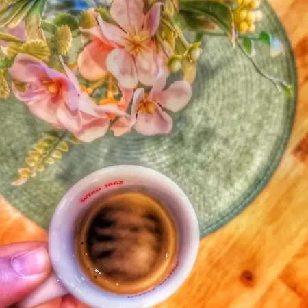 арборетум - онлайн Self Check-in Teteven