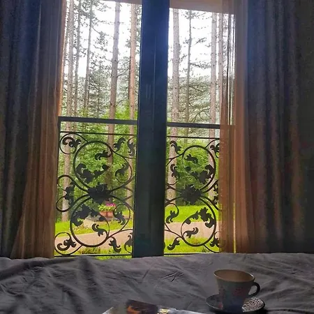 Guest house арборетум Teteven