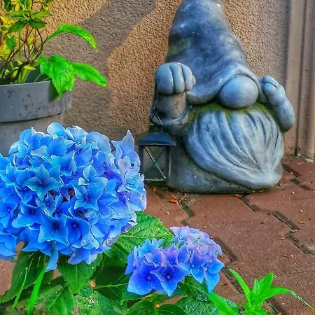 арборетум - онлайн Self Check-in 5*