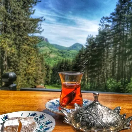 арборетум - онлайн Self Check-in Casa de hóspedes Teteven