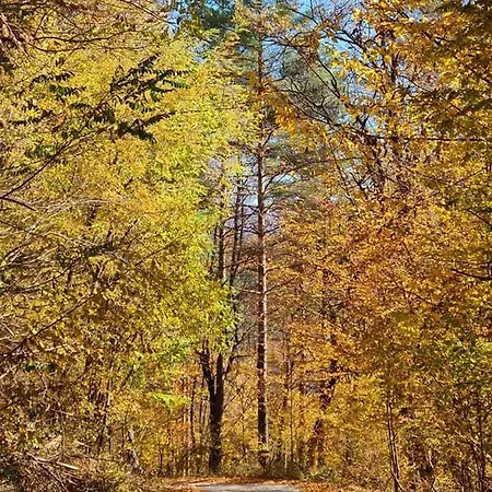 арборетум - онлайн Self Check-in Casa de hóspedes 5*