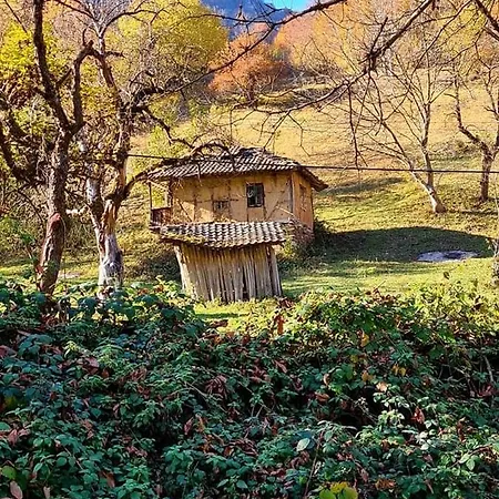 арборетум - онлайн Self Check-in 5* Teteven