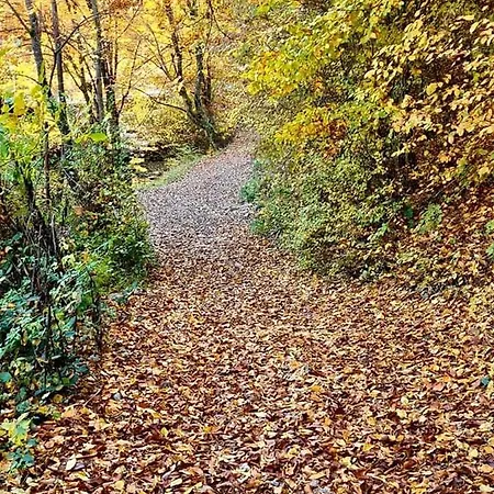 арборетум - онлайн Self Check-in Affittacamere