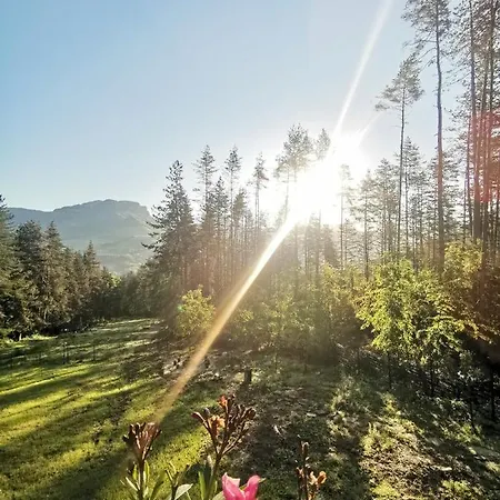 арборетум - онлайн Self Check-in 5*
