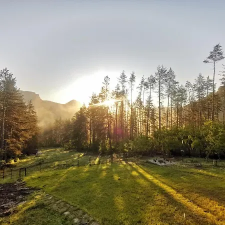 арборетум - онлайн Self Check-in Affittacamere 5*