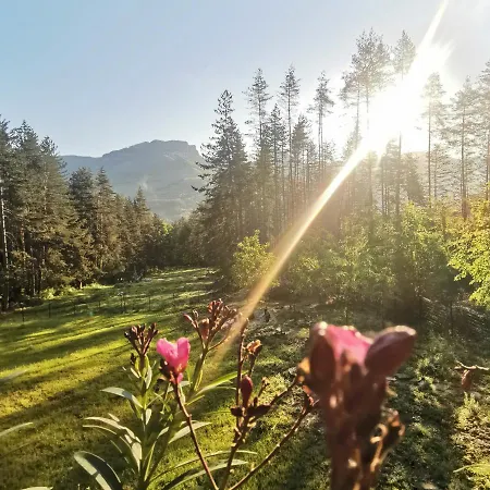 арборетум - онлайн Self Check-in Affittacamere 5*