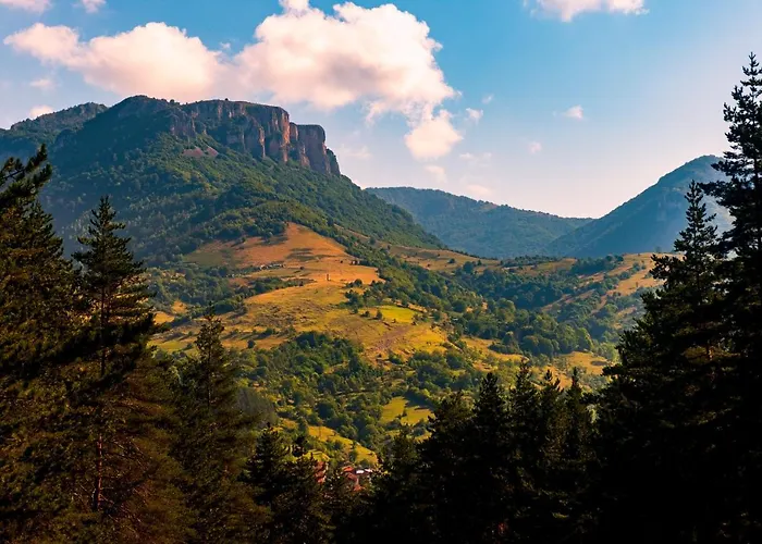 арборетум - онлайн Self Check-in 5*