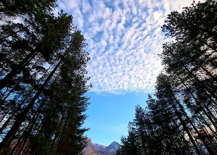 Къща за гости арборетум - онлайн Self Check-in Тетевен