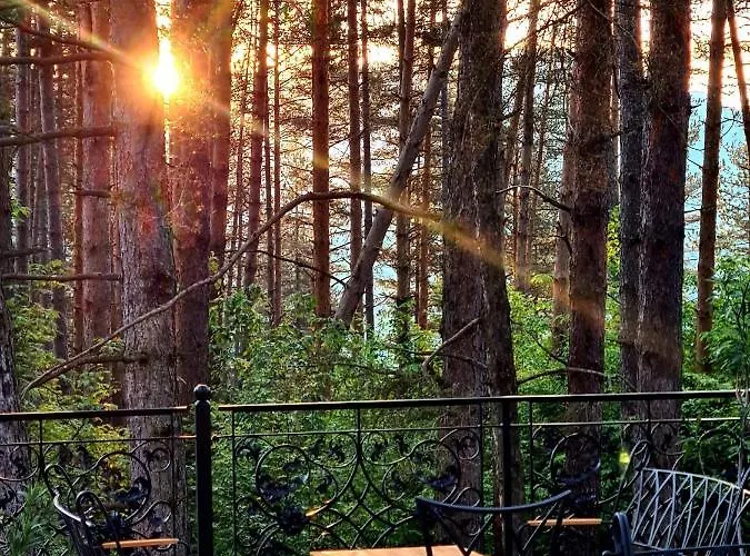 арборетум - онлайн Self Check-in Къща за гости