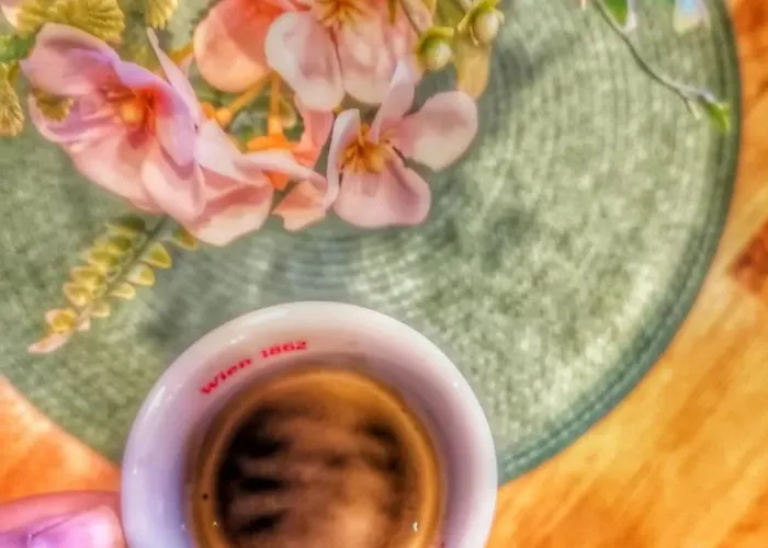 арборетум - онлайн Self Check-in Тетевен