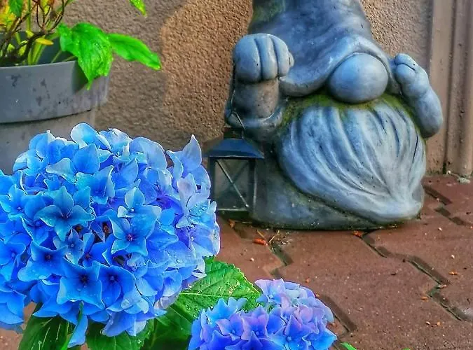 арборетум - онлайн Self Check-in 5*