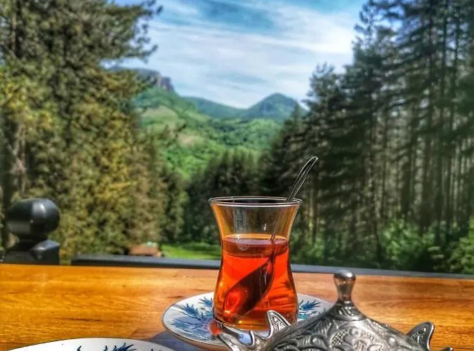 арборетум - онлайн Self Check-in Къща за гости Тетевен