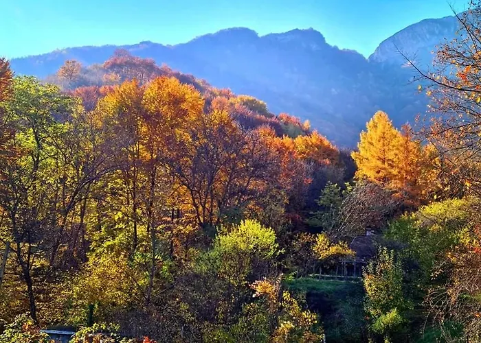 арборетум - онлайн Self Check-in Къща за гости 5*