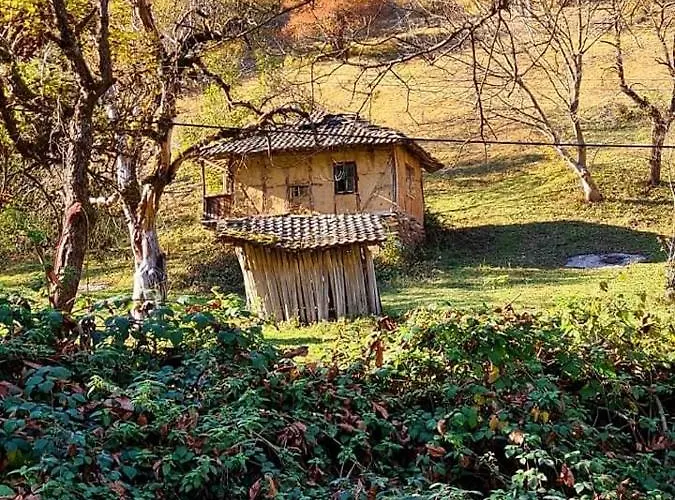 арборетум - онлайн Self Check-in 5* Тетевен