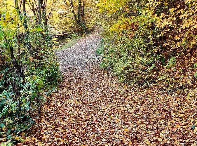 арборетум - онлайн Self Check-in Къща за гости