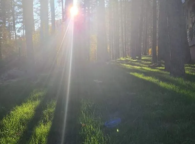 арборетум - онлайн Self Check-in 5*