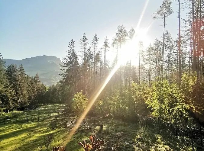 арборетум - онлайн Self Check-in 5*