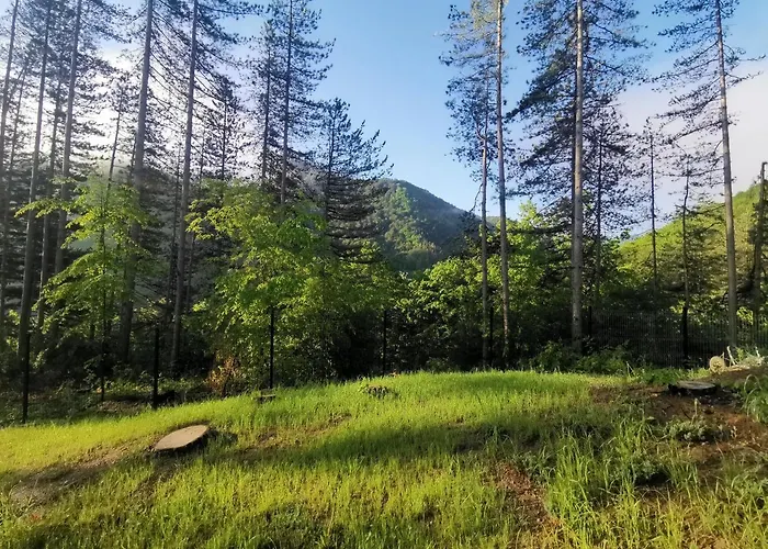 арборетум - онлайн Self Check-in Тетевен