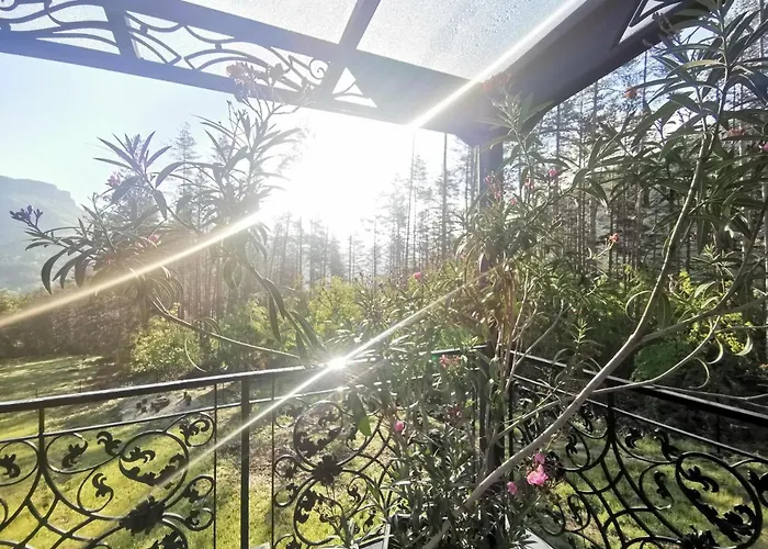 арборетум - онлайн Self Check-in Тетевен