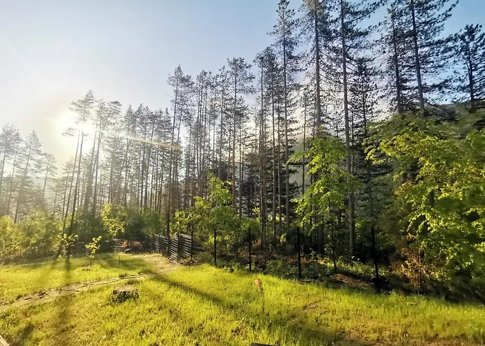 арборетум - онлайн Self Check-in Къща за гости