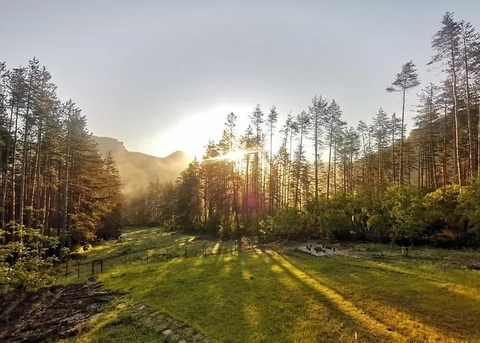 арборетум - онлайн Self Check-in Къща за гости 5*