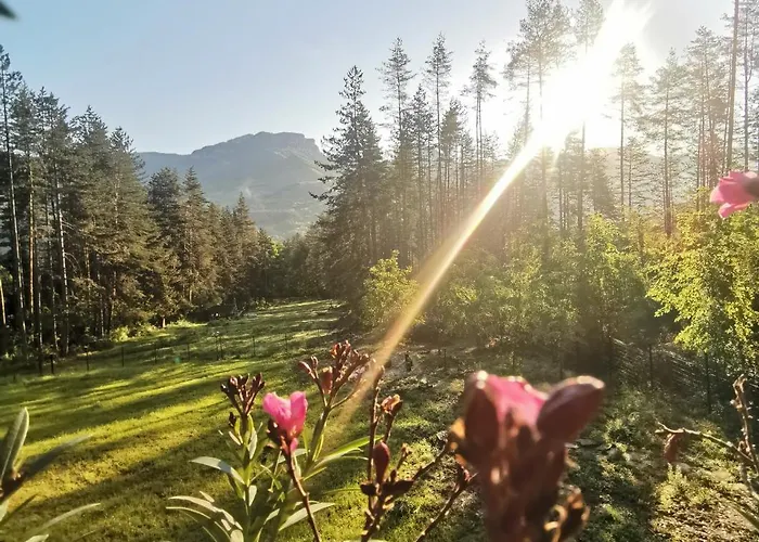 арборетум - онлайн Self Check-in Къща за гости 5*
