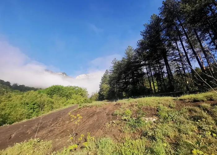 арборетум - онлайн Self Check-in 5* Тетевен